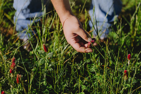 Sustainability at S&K