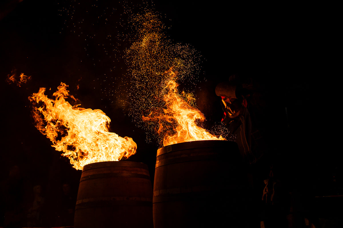 Ten Nights in the Dark: Your Guide to Dark Side of Wine 2026