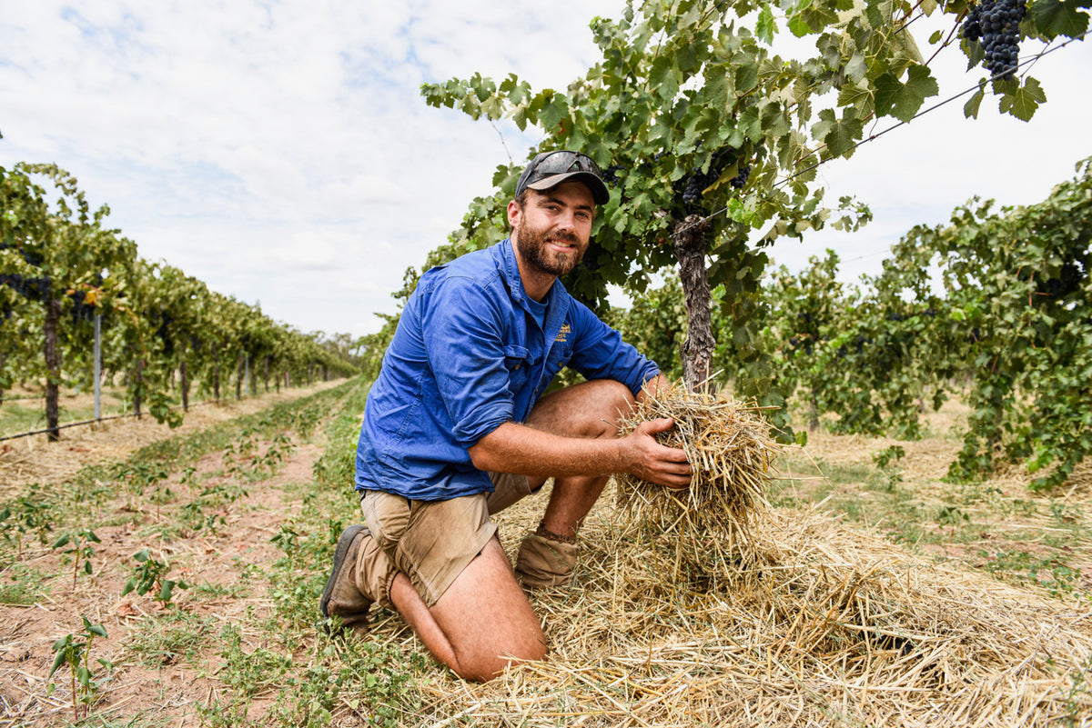 Our People – Stanton & Killeen Wines